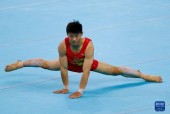青操国产,探寻神秘东方古国的历史足迹